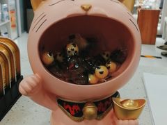 -纳吉亚猫专科动物诊疗中心(蒋宅口分院)