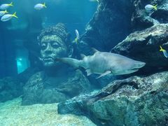 -暹罗海洋世界