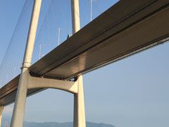 -招商蛇口邮轮母港(观光客运)
