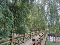 -桤木河湿地公园