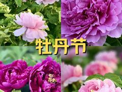 -太阳宫公园