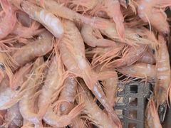 -今鲜源大酒店·中华餐饮名店(新湛路店)