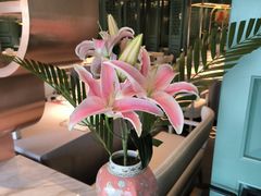 -南堂馆·新川菜(春熙路店)