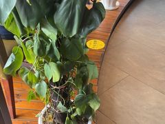 -盐帮食坊•小河帮川菜(四川师大店)