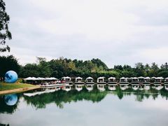 -三圣花乡旅游区