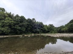 -都江堰普照寺