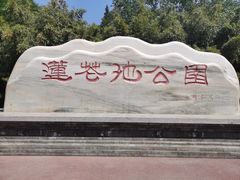 -莲花池公园