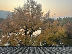 -蒋氏故居