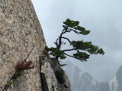 -华山风景名胜区