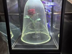 -天幕新彩云国际影城(激光巨幕店)