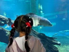 -华夏文旅海洋公园