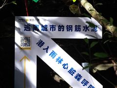 -呀诺达热带雨林