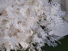 -白噪音White Noise·798概念店