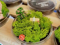 -合景·悠方(成都店)