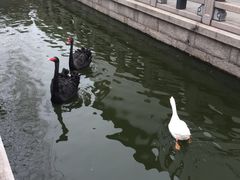 -陈云纪念馆