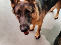 -KingBull私教健身&格斗订制(龙井商业中心店)