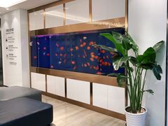 -牙博士口腔品牌连锁(杨浦店)