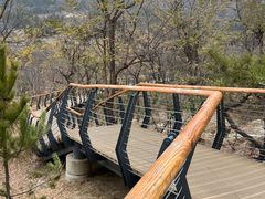 -白水寺森林公园