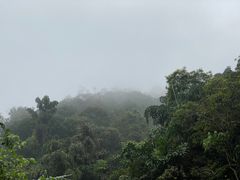 -天鹿湖森林公园