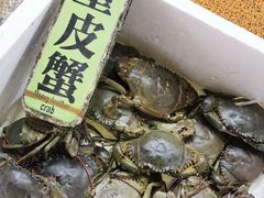 清蒸重皮蟹-全记海鲜菜馆(海傍街店)