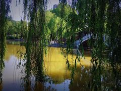 -西安市长乐公园