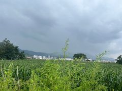 -抚仙湖禄充风景区
