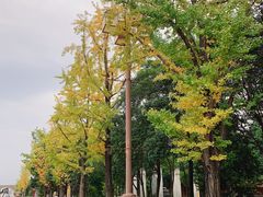 -法门文化景区