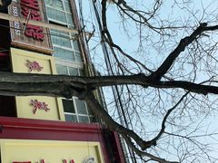 -华盛园卷子王农家菜水库鱼