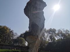 -鲁镇