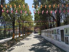 -上海海湾国家森林公园