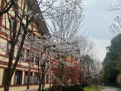 -庐山风景名胜区-东林大佛
