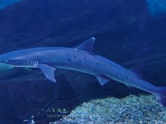 -横店影视城梦幻谷园区