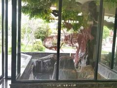 -院里寻菜·精致庭院菜(观沙岭店)