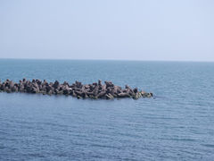 -八大峡公园