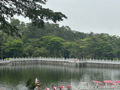 -广州莲花山旅游区