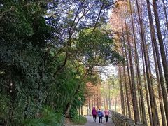 -三水森林公园
