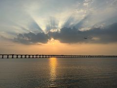 -宝安西湾红树林湿地公园