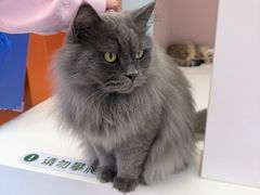 -天虹购物中心(深圳龙华店)