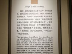 -中国茶叶博物馆(双峰馆区)