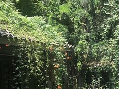 -竹吟山房