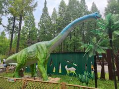 -黄海国家森林公园