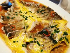 肉汁蒸海钓东海黄鱼-炳胜公馆(珠江新城店)