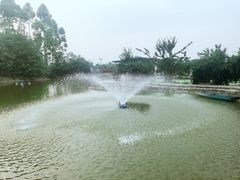 -老杨砂锅鱼庄