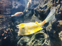 -福州罗源湾海洋世界旅游区