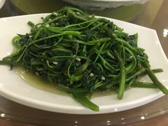 -顺峰渔港中国人的餐厅