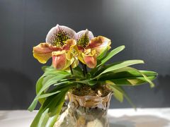 -北京植物园-展览温室