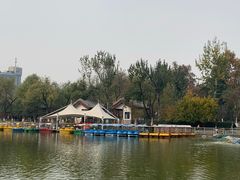 -莲湖公园