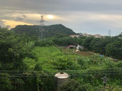 景观位-大门水乡·顺德菜
