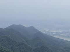 -大金鹰园
