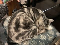 -咖法森林·咖啡  酒吧(天河店)